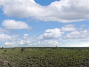 Common False Land Investment Myths in Kenya in 2020