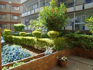 Understanding Building Permits in Kenya