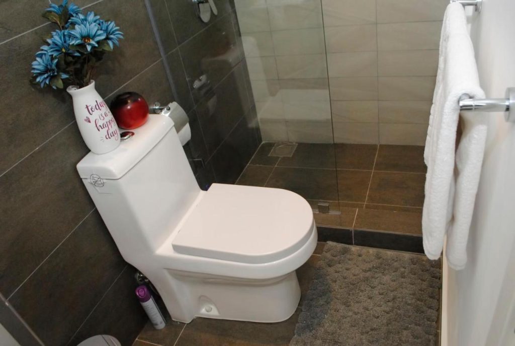 Astoria furnished apartments-Lavington