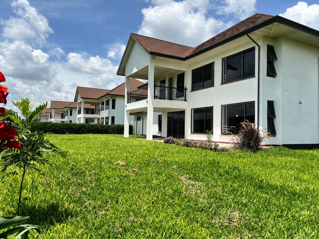 IMPALA PARADISE -RUNDA