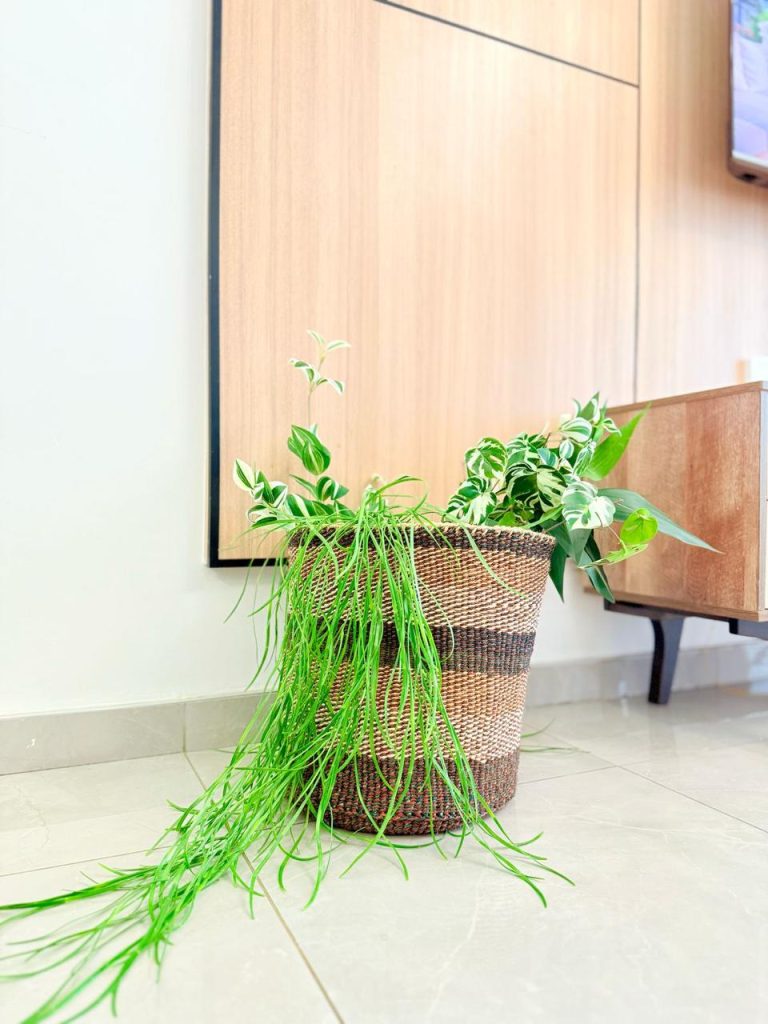 Decorations at the Fully Furnished 3 bedroom Apartment in Westlands