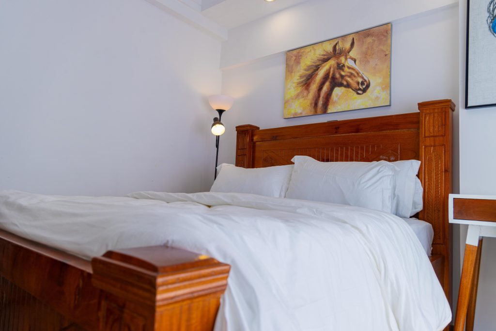 1 bedroom furnished apartment in Lavington bedroom