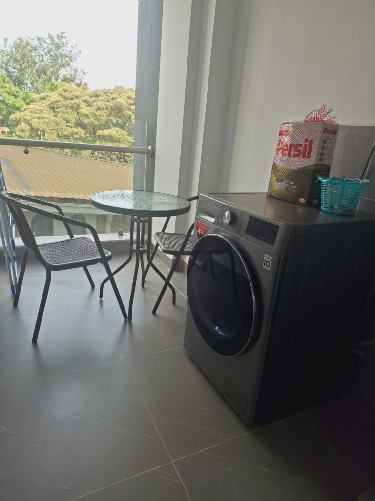 Luxury Furnished 1 Bedroom Apartment in Lavington laundry area