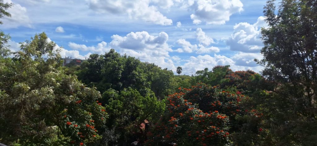 Peaceful greenery view from the apartment balcony – Luxury 3 Bedroom Serviced Apartment in Nairobi