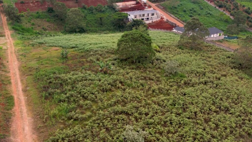 1 Acre Plot For Sale at Tigoni