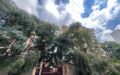 3 Bed Master Ensuite with DSQ on Vihiga Road, Kileleshwa